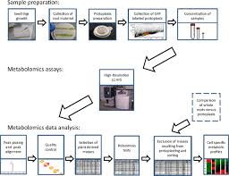 We did not find results for: High Resolution Metabolic Mapping Of Cell Types In Plant Roots Pnas