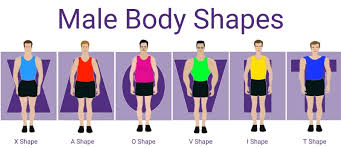 Male Body Type Calculator Mens Body Shape Calculator New
