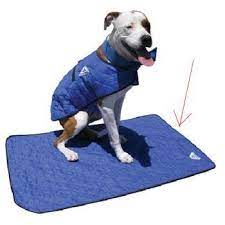 https www google nl search q picknick koelmatten verkoelende koelmat voor de hond dog cooling mat dog pads dog diapers