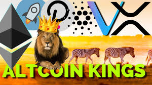 Cardano is a blockchain platform that is built in the secure haskell programming language. Altcoin Royalty Xrp Stellar Xlm Cardano Ada Vechain Vet Ethereum Eth Polkadot Dot Blockcast Cc News On Blockchain Dlt Cryptocurrency