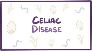 Celiac disease is a condition in which the immune system is abnormally sensitive to gluten, a protein found in wheat, rye, and barley. Celiac Disease Pathophysiology Wikidoc