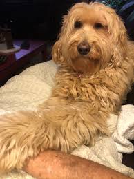 This boy is 17 today. Wish him a good one 🤗❤️