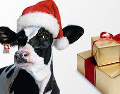 Swissmilk Adventskalender 2015 Adventkalender Adventskalender 2015 Adventskalender