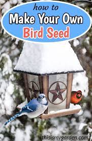 Homemade Bird Seed How To Make Nutritious Low Cost Feed At Home Birdseed Feeding Birds Winter Sunflowerseeds Whitemillet Bird Seed Bird Bird Feeders