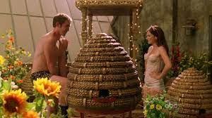 If You Ve Ever Watched Pushing Daisies Skeps Pushing Daisies Daisy Lee Pace