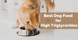 These foods have a higher fat content to provide extra calories. Best Dog Food For High Triglycerides High Fiber Low Fat Diet For Dogs