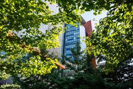 We search for innovative solutions and make positive contributions to society. Concordia Maintains Its Steady Ascent In World Rankings