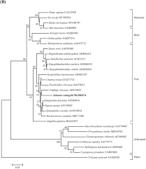 See more of loker pt. Two Metalloenzymes From Rockfish Sebastes Schligellii Deciphering Their Potential Involvement In Redox Homeostasis Against Oxidative Stress Sciencedirect