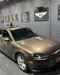 Image result for Argus Brown 2017 Audi