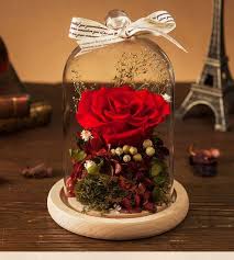 Maybe you would like to learn more about one of these? Wholesale Preserved Fresh Dried Red Flowers Roses In Dome China Preserved Roses In Dome And Wholesale Fresh Flowers Price Made In China Com