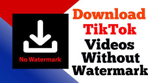 Snaptik.app doesn't store videos, neither do we keep copies of downloaded videos. How To Download Tiktok Video Without Watermark Snaptik App How To Use Snaptik App Snap Tik App Youtube