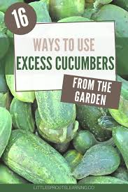 Check spelling or type a new query. 16 Ways To Use Excess Cucumbers From The Garden