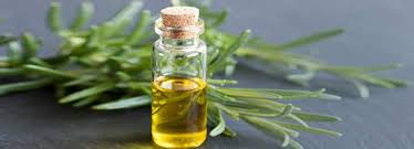 Another possible reason why rosemary oil works for hair loss is that it is rich in antioxidants. Rosemary Oil Benefits And Its Side Effects Lybrate