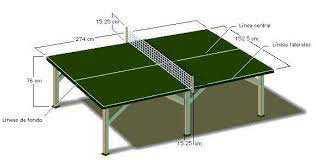 El equipamiento básico son dos palas o raquetas, una mesa lisa con red que divide la mesa por la mitad y pelotas de ping pong. Tenis De Mesa Adaptado Guia De La Discapacidad