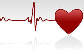 Eine frühzeitig entdeckte herzmuskelentzündung kann in aller regel durch. Pin Von Sweety H Auf Herz Herz Was Machst Du Gerade Ekg Linie