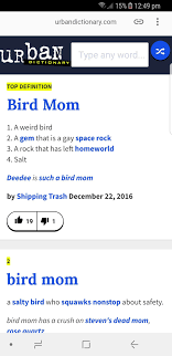 This Is On Urban Dictionary We Ve Done It We Ve Taken Over The World Fellow Su Fans Form Big Diamond Steven Universe Memes Steven Universe Steven Univese