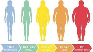 Body Fat Percentage Not Body Mass Index