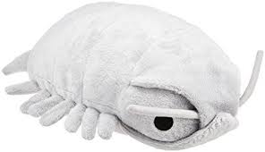 Sea Creature Giant Isopod Cute Kawaii Type Stuffed Plush In 2021 Kawaii Animals Plush Dolls Giant Isopod