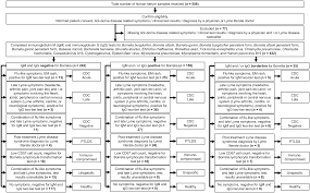 Evaluating Polymicrobial Immune Responses In Patients Suffering From Tick Borne Diseases Scientific Reports