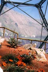 Inside the tropical biome at the eden project. The Eden Project Cornwall A Personal View