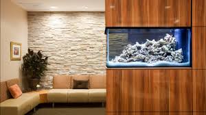 Check spelling or type a new query. Doctor Office Design Youtube
