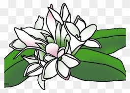 Mayflower dubai is infinitely more than just a florist. Flower Clipart Mayflower Guzel Sozler Logo Png Download Full Size Clipart 767169 Pinclipart