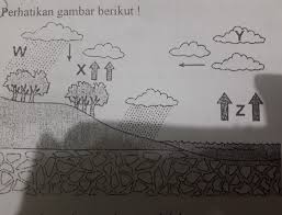 Proses ini adalah kebalikan dari kondensasi. Tahapan Daur Air Yang Benar Adalah A W Presipitasi Dan Y Evaporasib W Presipitasi Dan Brainly Co Id