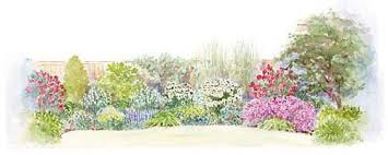 Mix And Match Border Plan Shrubs For Borders Garden Planning Backyard Fences