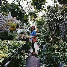 We did not find results for: Tillery Street Plant Co Cousin Friend Comes To Austin So Obviously The First Thing We Do Is Go Look At Tropical House Plants