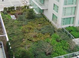 The Us Postal Service Plans To Plant Its Second Green Roof In New York Green Roof Rooftop Garden Green Architecture