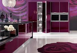 purple kitchen decor with purple rugs