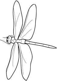 Detailed Dragonfly Coloring Pages Coloring Pages Bugs Embroidery Animal Coloring Pages