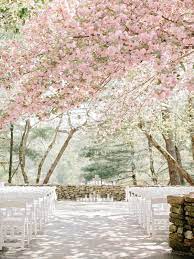 Georgia Wedding With Cherry Blossoms Elizabeth Anne Designs The Wedding Blog Cherry Blossom Wedding Georgia Wedding Venues Georgia Wedding