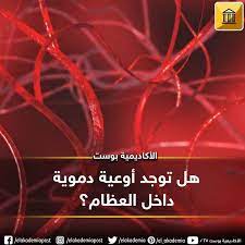 هل توجد أوعية دموية في العظام في دراسة جديدة قام بها فريق من الباحثين في ألمانيا تم اكتشاف شبكة من الأوعية الدموية الدقيقة التي neon signs movie posters neon
