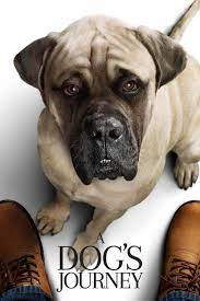 Bruce cameron bestsellere alapján készült, szívet melengető film a nagy sikerű egy kutya négy élete folytatása. Assistir Filme Cmplet A Dog S Journey A Dog S Journey Full Movies Online Free Dogs