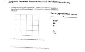 This simple guide will walk you through the steps of solving a typical dihybrid cross common in genetics. Solved Dihybrid Punnett Square Practice Problems Directions Answer The 1 Answer Transtutors