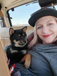 Lost shitzu mix puppy in Sioux Falls area