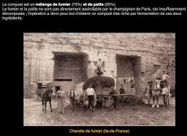 Preparing The Substrate Composting Then Making Ridge Beds Inside The Caves En 2020 Champignon De Paris Val De Loire Paris
