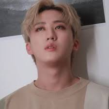 Ella Purvis (skzintroo)