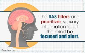 The Reticular Activating System Ras Is One Of The Most Important Parts Of The Brain This Article Is Reticular Activating System Mind Power Psychology Facts