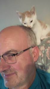 Tiger deciding I needed a grooming. That tongue is sharp! #catsoftiktok