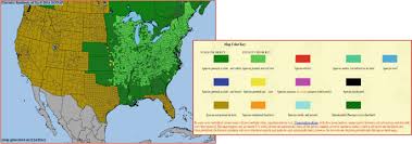 Image result for lobelia combine composition