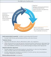 a summary of the new gina strategy a roadmap to asthma