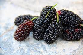 (this is easier to see if you click on any of the photos and then zoom in with your browser's view function.) Blackberry Vs Mulberry What S The Difference Foods Guy