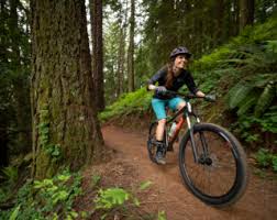 You dig the local motocross track and often brag to your pal who lives a few states over about the triple you landed. Marin Bikes Wildcat Trail