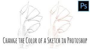 Quick overview of the photoshop pen tool and how you can use it to convert a sketch you scan into the computer to a line art drawing.looking for more tutoria. Photoshop Change The Color Of A Line Art Sketch Youtube