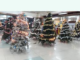 The best way to string christmas lights on outside trees is by starting at the base of the test the lights to make sure that they're working, and then leave them plugged in while you work to get an accurate idea of how the lighting will look. 4 Ways To String Christmas Tree Lights Wikihow