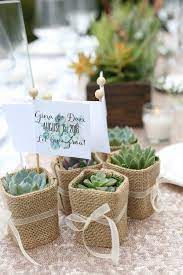 50 Wedding Favors Succulent Wedding Favors With Customized Etsy Succulent Wedding Favors Wedding Favors Wedding Gift Messages