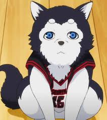 Favorite Anime Animal Anime Kuroko No Basket Anime Animals