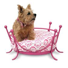 We did not find results for: The Crown Metal Frame Dog Bed Dog Bed Frame Stylish Dog Beds Metal Dog Bed